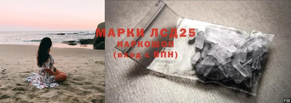 гидра Михайловка