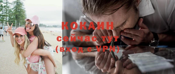 не бодяженный Михайлов