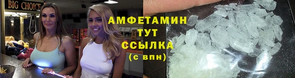 гидра Михайловка
