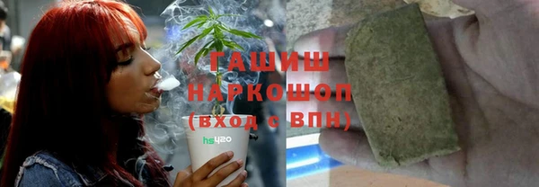 гидра Михайловка