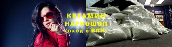 гидра Михайловка