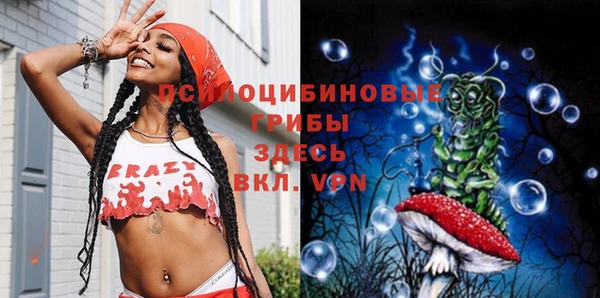 стафф Михайловск