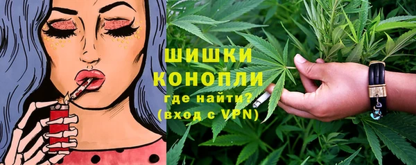 гидра Михайловка