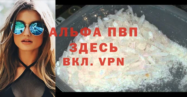 гидра Михайловка