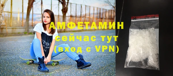 гидра Михайловка