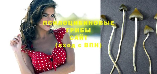 гидра Михайловка