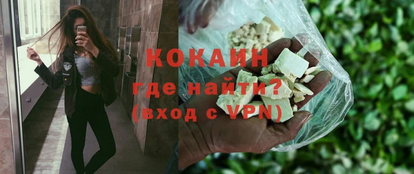 гидра Михайловка