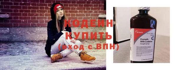 стафф Михайловск