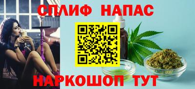 спиды Гагарин