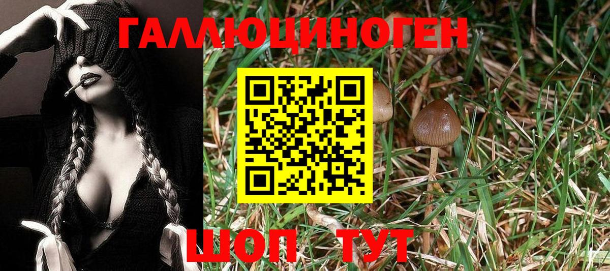 Галлюциногенные грибы Magic Shrooms  Псилоцибиновые грибы Cubensis  Грозный  Вход с VPN 