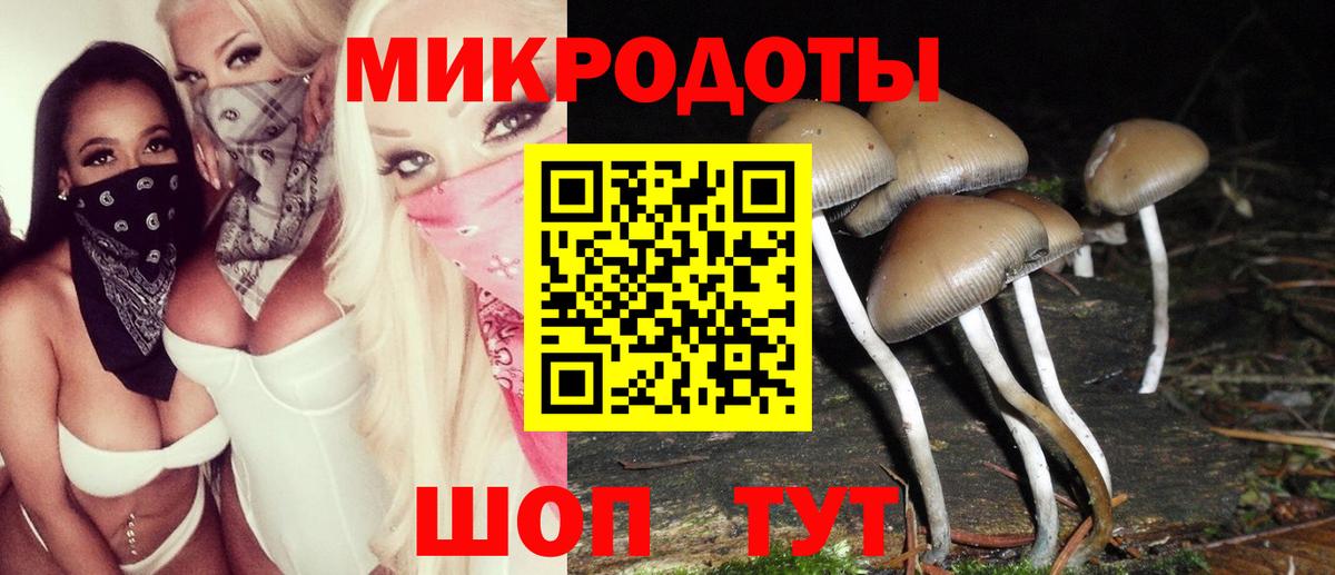Псилоцибиновые грибы Psilocybe Грозный