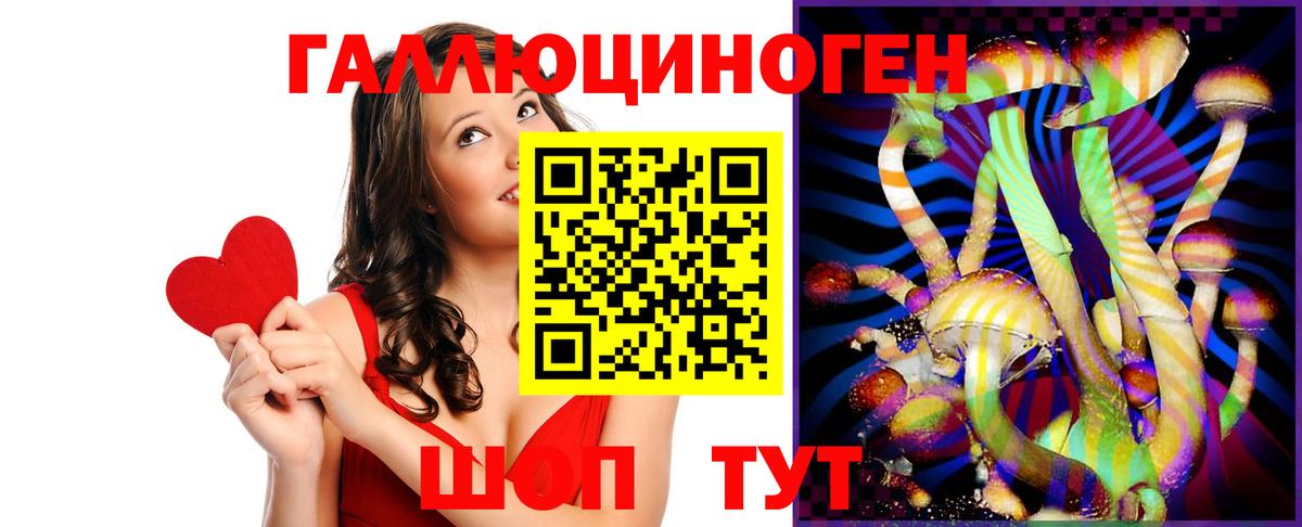 Галлюциногенные грибы ЛСД  Псилоцибиновые грибы Psilocybe  Грозный 